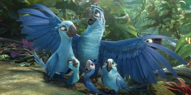“灭绝”22年后，八只小蓝金刚鹦鹉重归野外