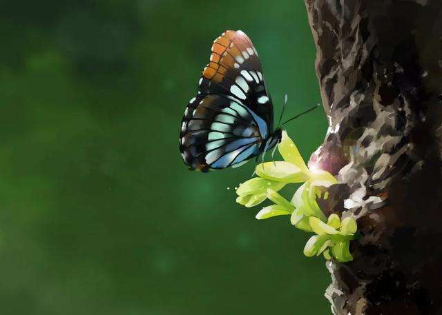 藏在身体里的“蝴蝶”，美丽而又娇弱 | 国际甲状腺知识宣传周